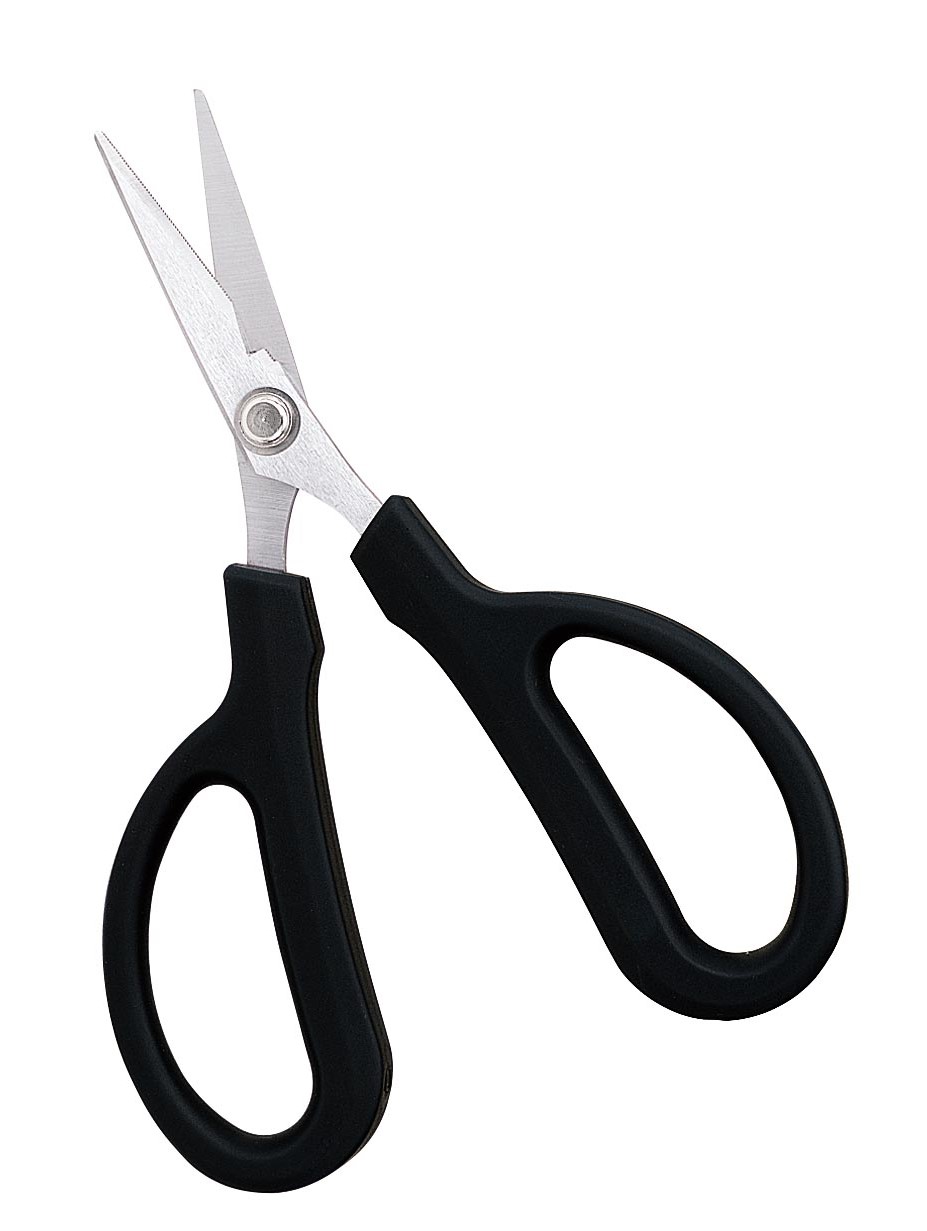 1501223740185010.jpg 1501223740185010.jpg